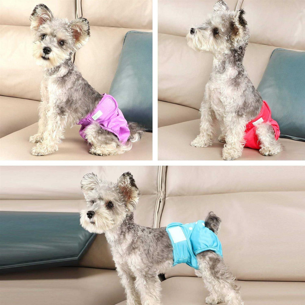 Washable Reusable Dog Diapers S868
