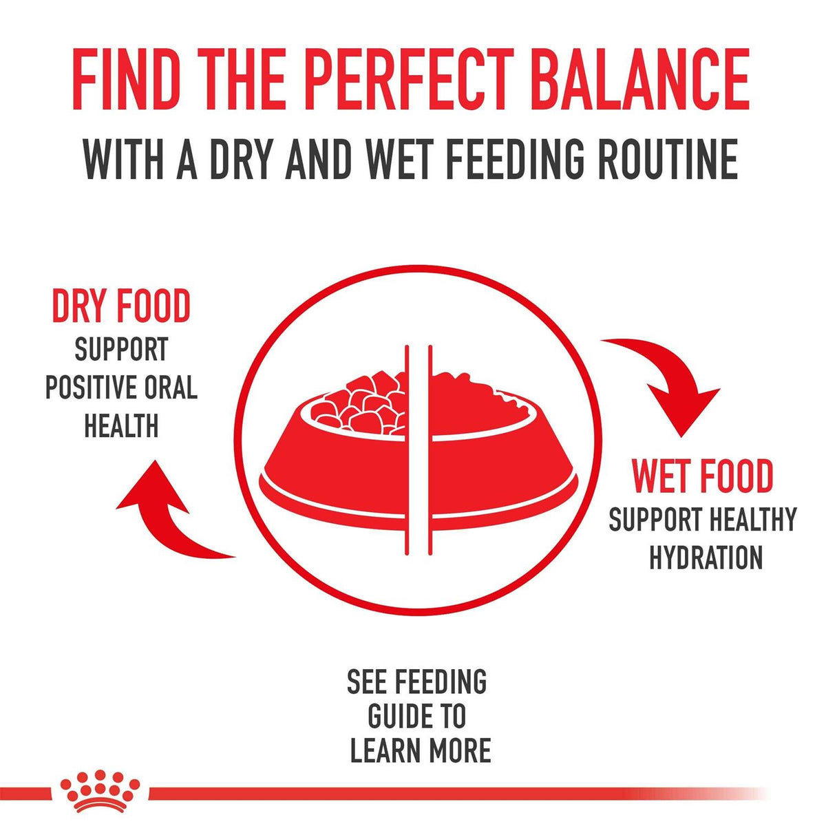 Medium Adult Dry Dog Food G165