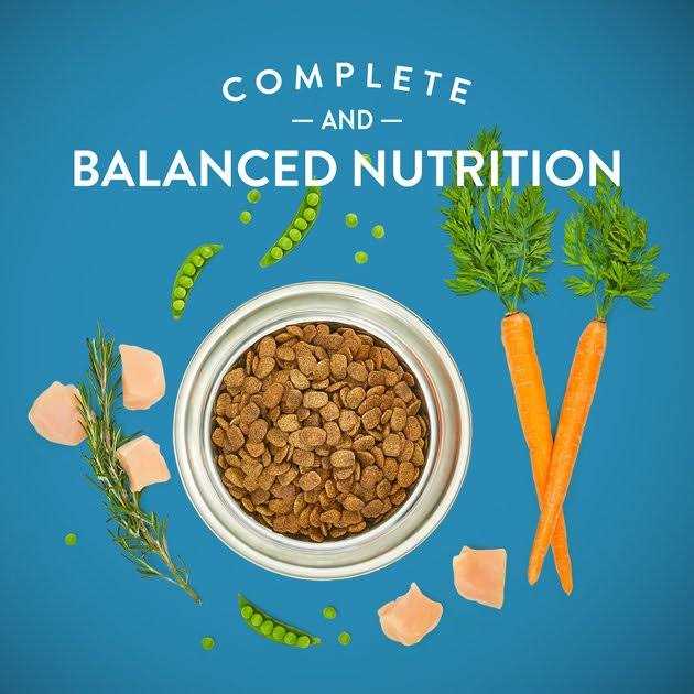 Grain-Free Chicken & Vegetable Dry Dog Food N5394