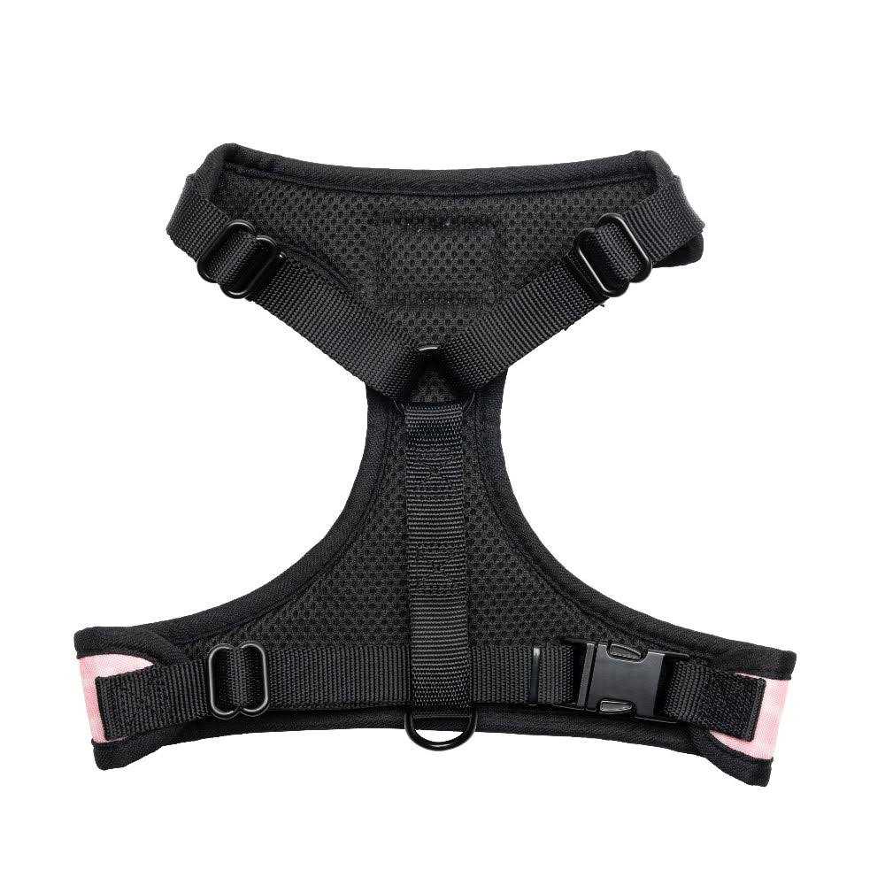 Harness & Leash Set R86165