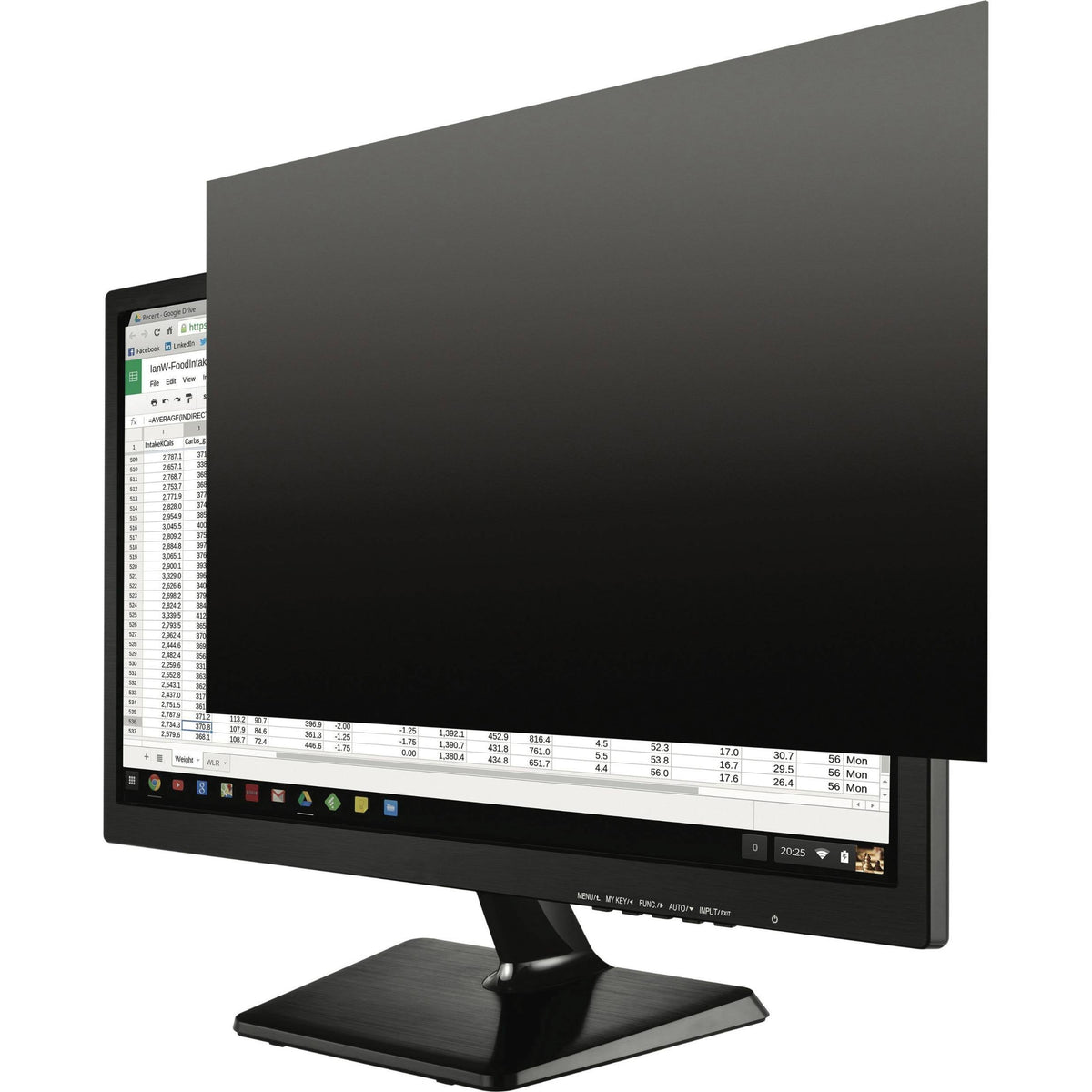 19" Widescreen LCD Monitor Privacy Filter Y79894